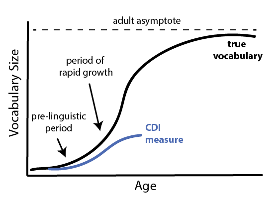 Schematic true vocabulary growth and vocbaulary growth as measured by the CDI.